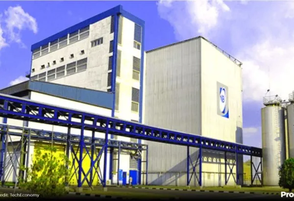 Nigerian Breweries PLC